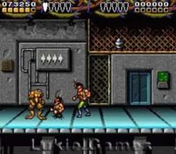 Battletoads / Double Dragon the Ultimate Team
