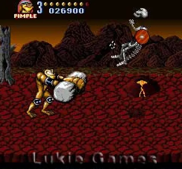 Battletoads in Battlemaniacs
