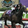 Breeders' Cup World Thoroughbred Championships