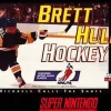 Brett Hull Hockey
