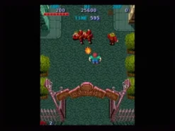 Capcom Classics Vol 2