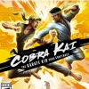 Cobra Kai: The Karate Kid Saga Continues
