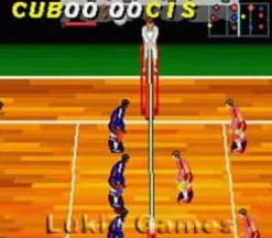 Dig and Spike Volleyball