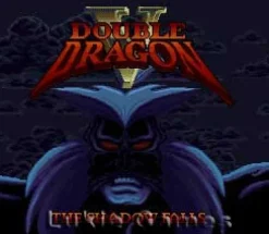 Double Dragon V 5