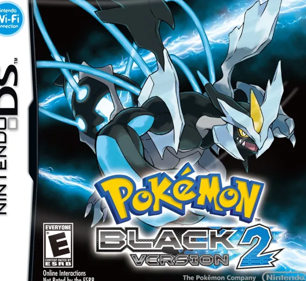 DS Pokemon Black Version 2