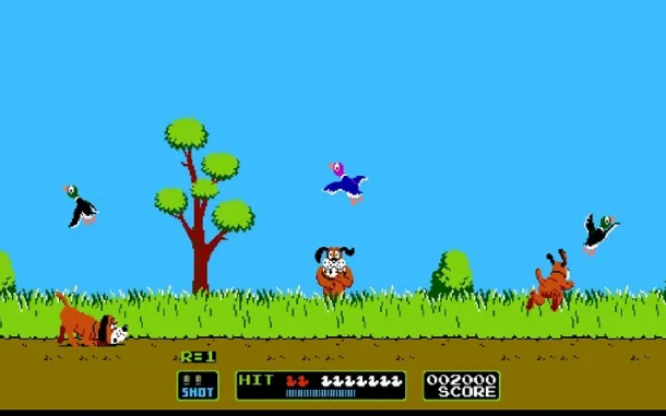 Duck Hunt