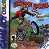 Extreme Sports Berenstain Bears