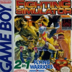 Fighting Simulator 2-in-1