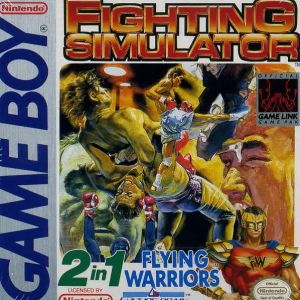 Fighting Simulator 2-in-1