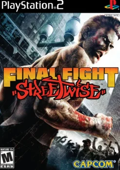 Final Fight Streetwise