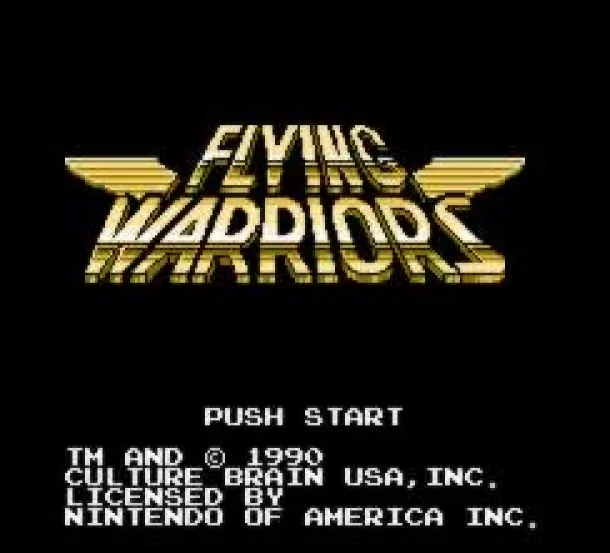 Flying Warriors