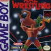 HAL Wrestling