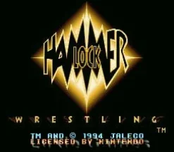 Hammerlock Wrestling