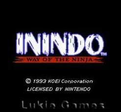 Inindo Way of the Ninja