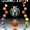 Junction