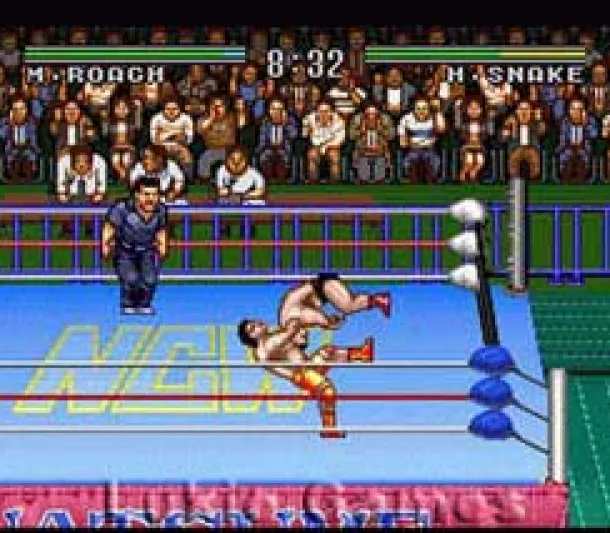 Natsume Championship Wrestling
