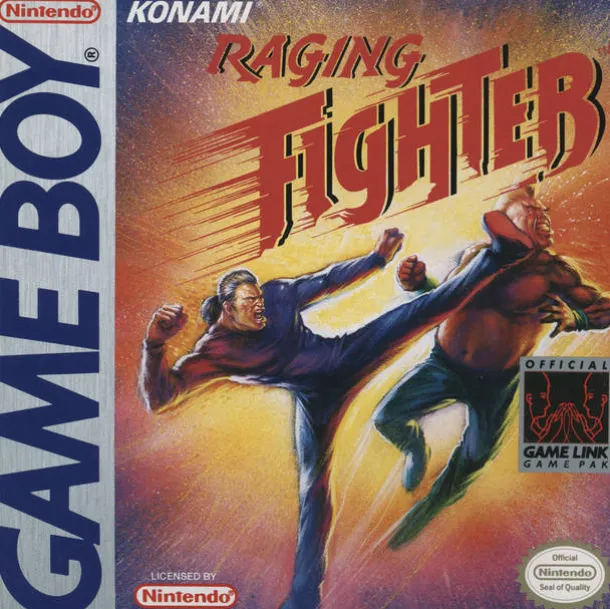 Raging Fighter