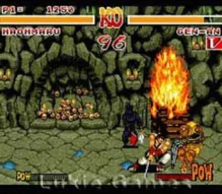 Samurai Shodown