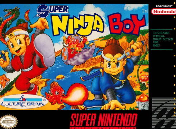 Super Ninja Boy