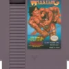 Tecmo Wrestling