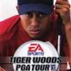 Tiger Woods 2004
