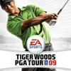 Tiger Woods 2009