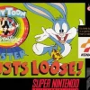 Tiny Toon Adventures Buster Busts Loose
