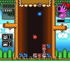 Wario's Woods