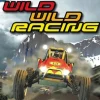 Wild Wild Racing