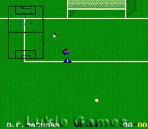 World League Soccer