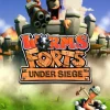 Worms Forts Under Siege