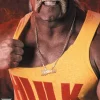 WWE 2K15: Hulkamania Edition